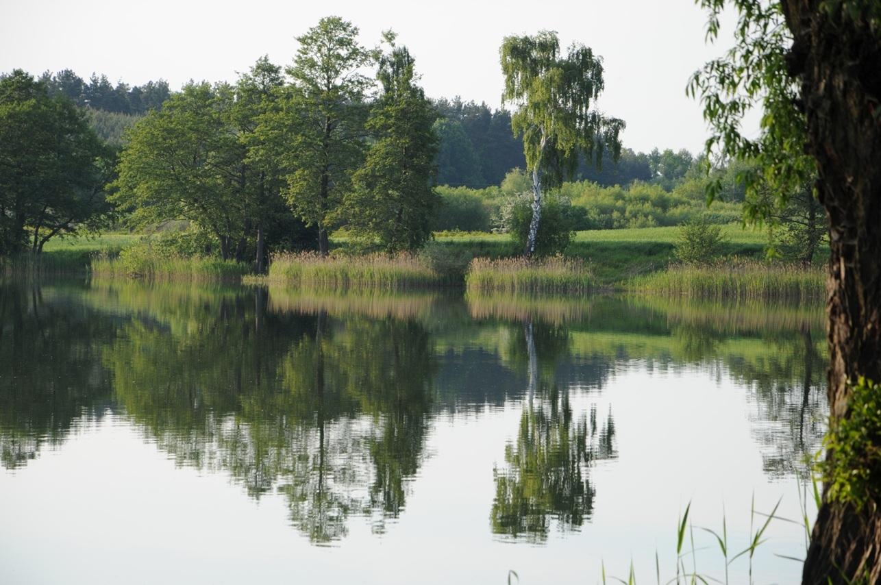 Jezioro Królewieckie